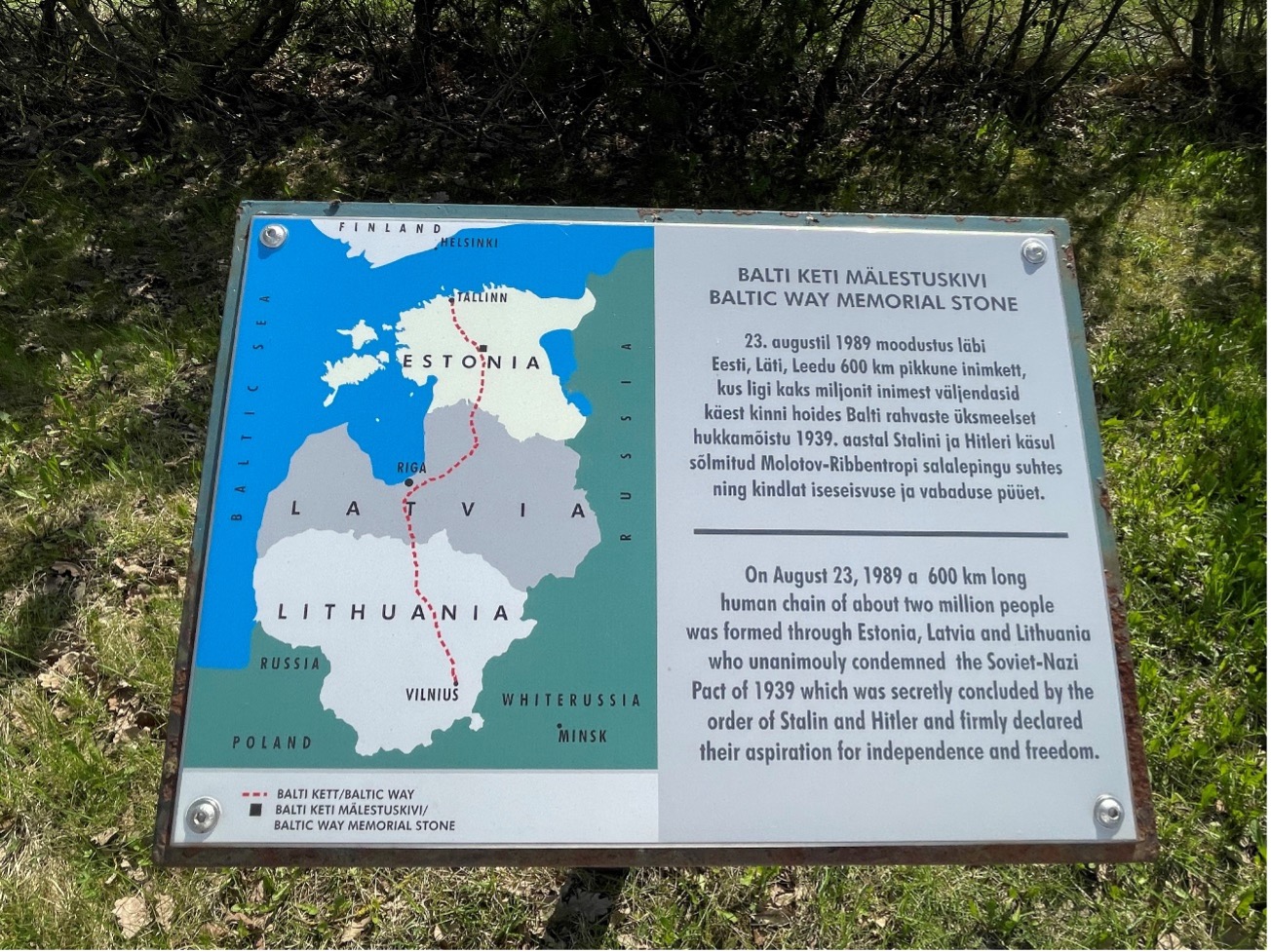 コラム 11月 yourmarks inc.